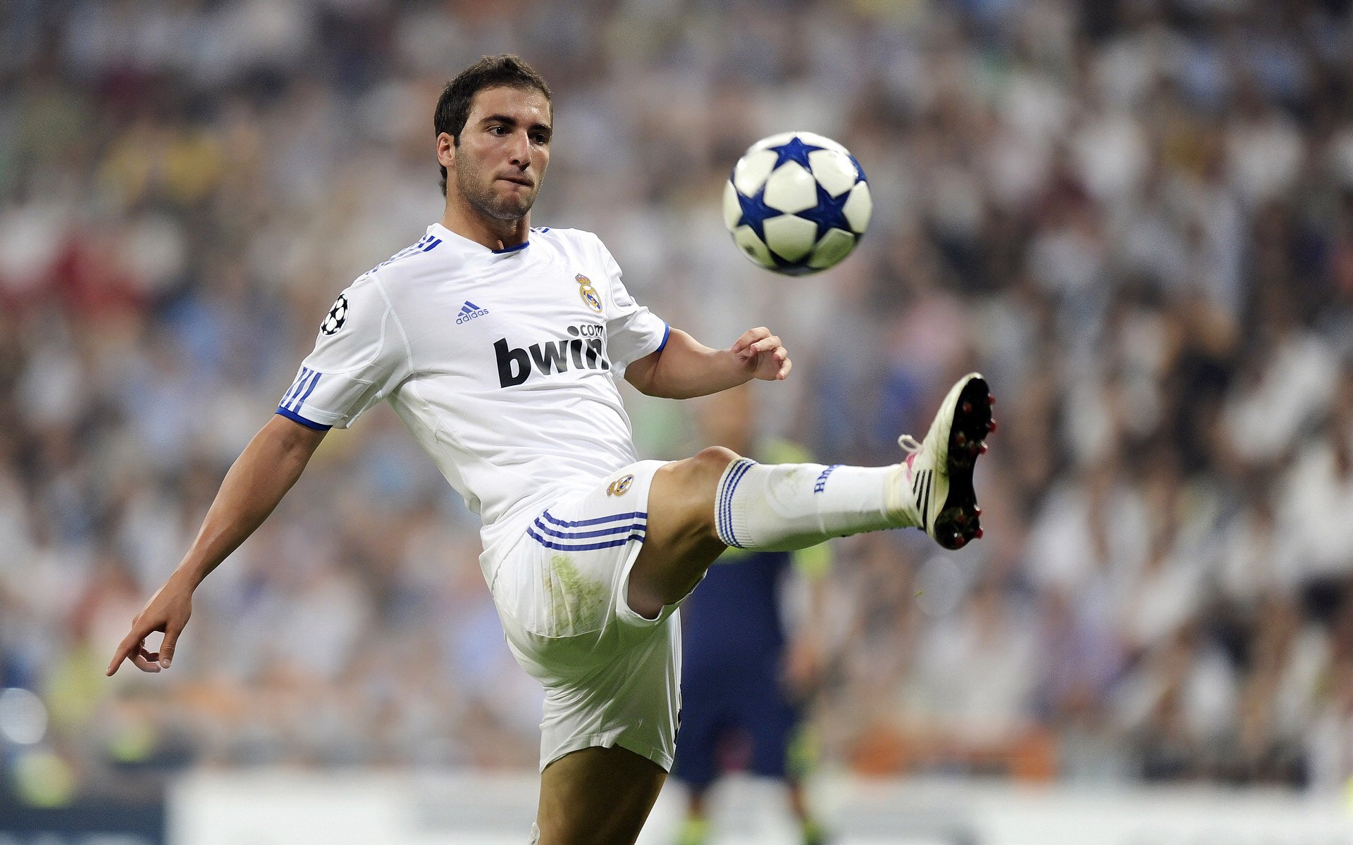 未来之星崭露头角!新鲜血液冲刺巅峰!